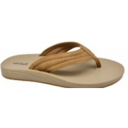 372864B  SUN PARTY  COL...