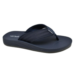 372864C  SUN  PARTY  COL...